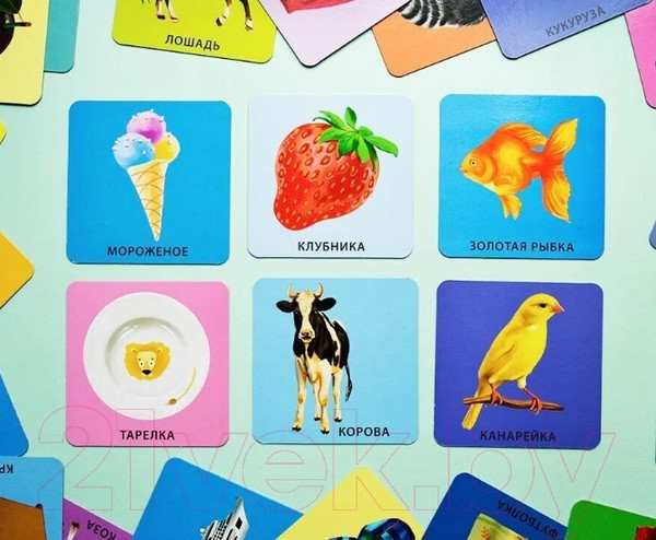 Изображение товара Развивающие карточки Робинс Начинаю говорить. Мои первые слова и картинки