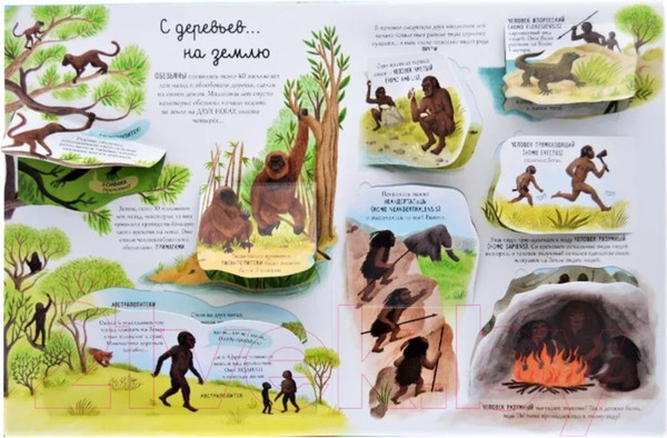 Изображение товара Развивающая книга Робинс Открой тайны. Эволюция