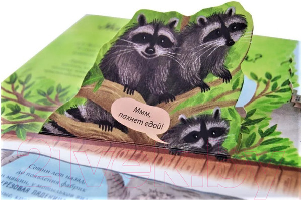 Изображение товара Развивающая книга Робинс Открой тайны. Эволюция