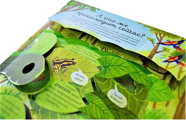 Изображение товара Развивающая книга Робинс Открой тайны. Эволюция