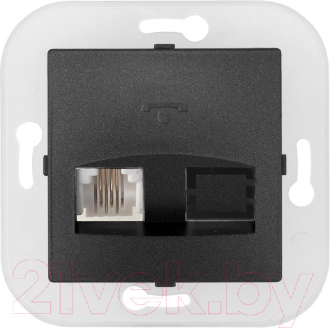 Изображение товара Розетка Bylectrica ТР4-057 (графит)