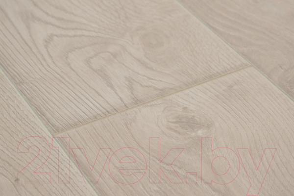 Изображение товара Ламинат Tarkett Estetica Дуб Натур белый NL 4V