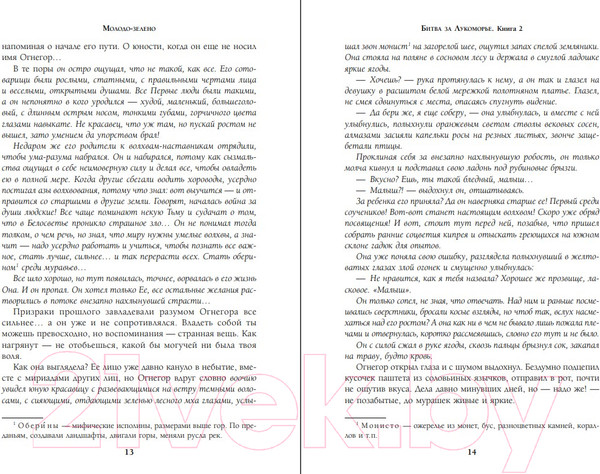 Изображение товара Книга Эксмо Битва за Лукоморье. Книга 2 (Папсуев Р.В., Камша В.В.)