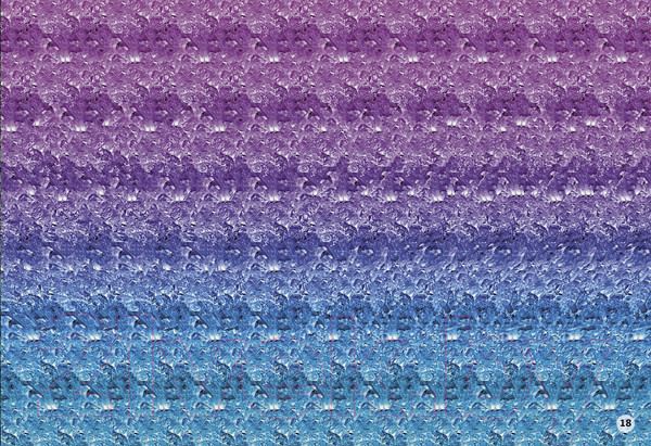 Изображение товара Развивающая книга Робинс Стереокартинки. Тренируем зрение со стереокартинками