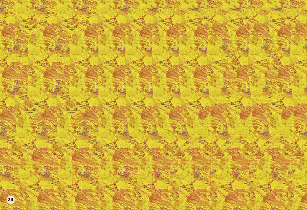 Изображение товара Развивающая книга Робинс Стереокартинки. Тренируем зрение со стереокартинками