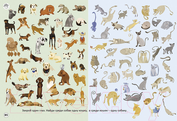 Изображение товара Развивающая книга Робинс Стереокартинки. Тренируем зрение со стереокартинками