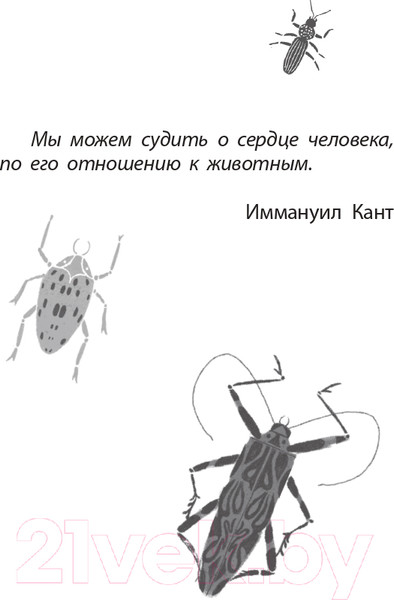 Изображение товара Книга Робинс Фабр. Королева жуков (Майя Г. Леонард)