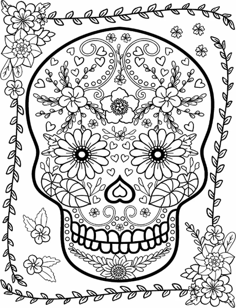 Изображение товара Раскраска-антистресс Робинс Черепок. Бесстрашная раскраска