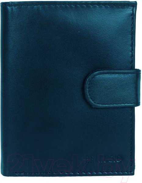 Изображение товара Портмоне Sanchez Casual ZM-110R-123A (синий)