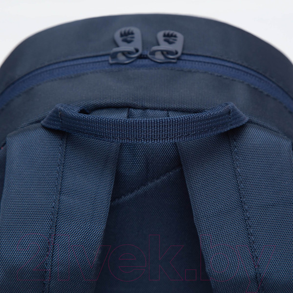 Изображение товара Школьный рюкзак Grizzly RS-374-2 (синий)