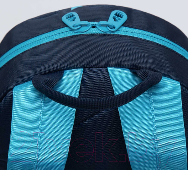 Изображение товара Школьный рюкзак Grizzly RS-374-5 (синий)