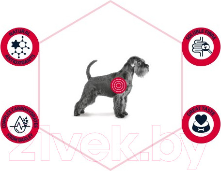 Изображение товара Сухой ветеринарный корм для собак Advance VetDiet Diabetes Colitis (12кг)