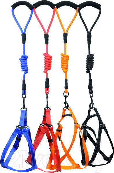 Изображение товара Шлея с поводком Camon DC004/B