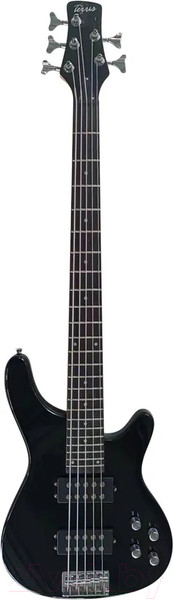 Изображение товара Бас-гитара Terris THB-43-5 BK (черный)