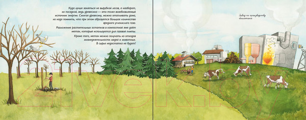 Изображение товара Книга Альпина Зеленая планета. Возобновляемые источники энергии (Дюма-Руа С.)