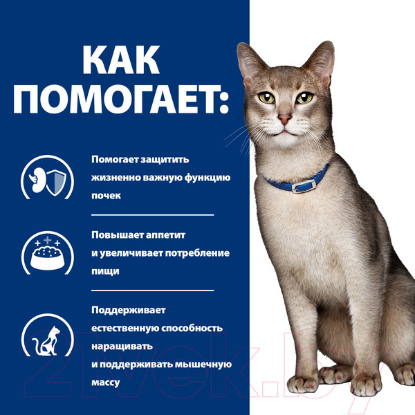 Изображение товара Влажный корм для кошек Hill's Prescription Diet k/d Feline with Salmon (85г)