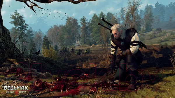 Изображение товара Игра для игровой консоли Nintendo Switch The Witcher 3: Wild Hunt (RU subtitles)