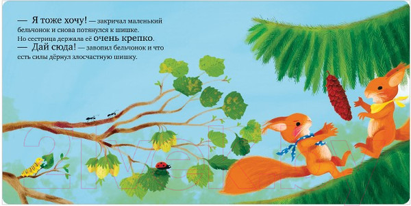 Изображение товара Книга CLEVER Книжки-картонки. Сердитый бельчонок (Райдер К.)