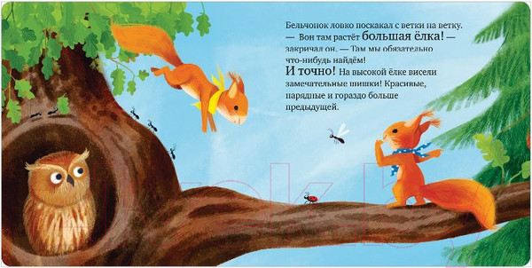 Изображение товара Книга CLEVER Книжки-картонки. Сердитый бельчонок (Райдер К.)