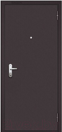 Изображение товара Входная дверь Mastino Slim Eco МP-2 (86x205, правая)