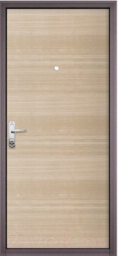 Изображение товара Входная дверь Mastino Slim Eco МP-2 (96x205, левая)