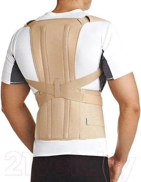 Изображение товара Корректор осанки Orlett TLSO-250(A) (XL1)