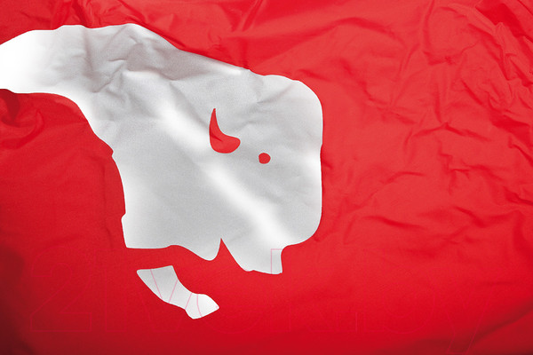 Изображение товара Чехол для рюкзака Tatonka Rain Flap XS / 3107.015 (красный)