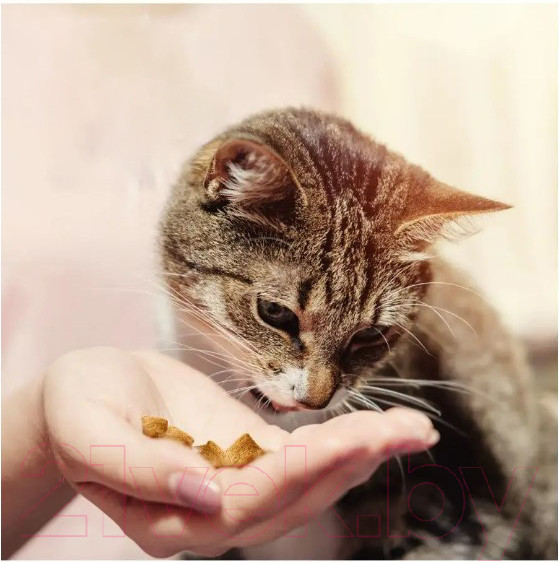 Изображение товара Лакомство для кошек Dreamies MIX с говядиной и сыром (60г)