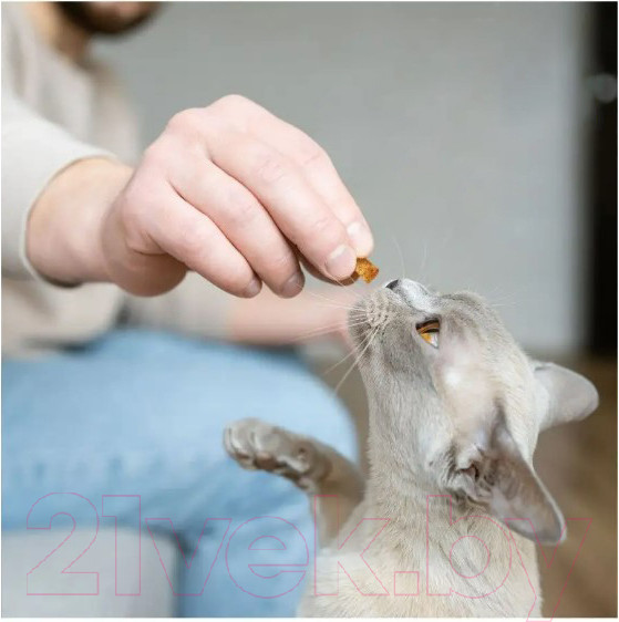 Изображение товара Лакомство для кошек Dreamies MIX с говядиной и сыром (60г)