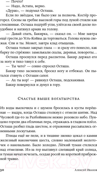 Изображение товара Книга Альпина Золото бунта (Иванов А.В.)