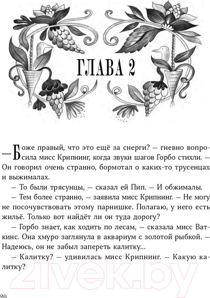 Изображение товара Книга Альпина Изумительная Страна Снергов (Коссантели В.)