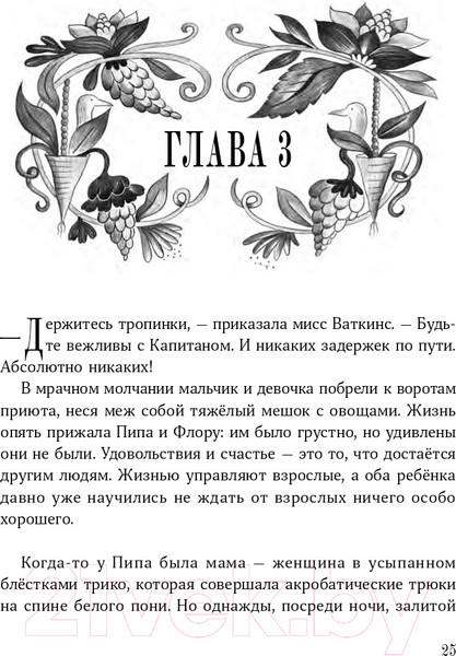 Изображение товара Книга Альпина Изумительная Страна Снергов (Коссантели В.)