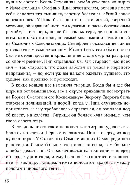 Изображение товара Книга Альпина Изумительная Страна Снергов (Коссантели В.)