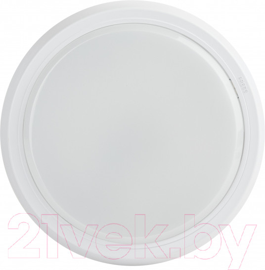 Изображение товара Светильник ЖКХ ЭРА SPB-301-0-4K-20 / Б0055045