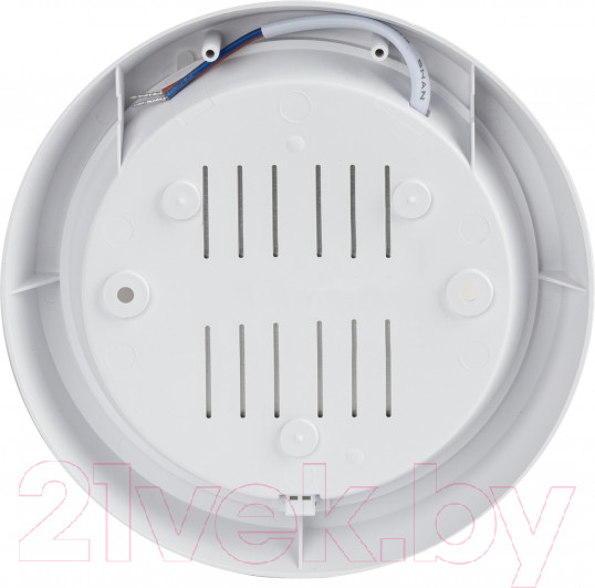 Изображение товара Светильник ЖКХ ЭРА SPB-301-2-4K-20 / Б0055046