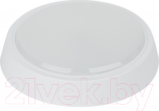 Изображение товара Светильник ЖКХ ЭРА SPB-301-2-4K-20 / Б0055046