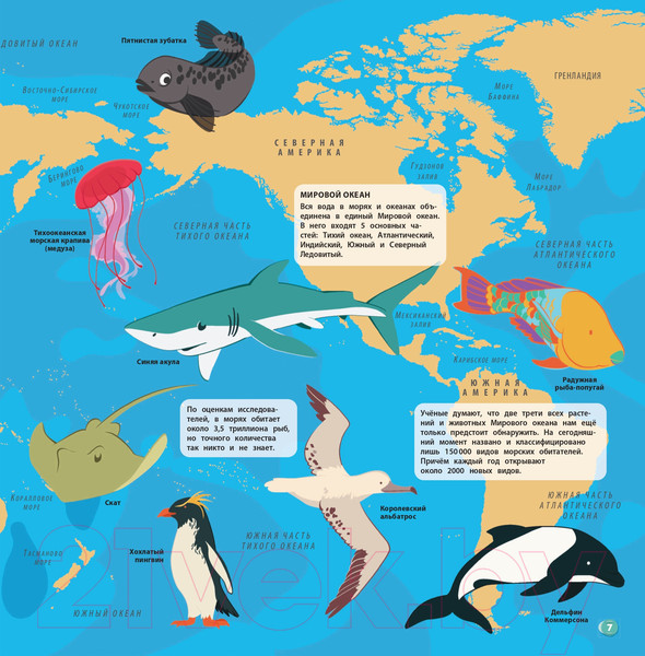 Изображение товара Энциклопедия Эксмо Удивительный атлас морских обитателей (Коллинз Д.)