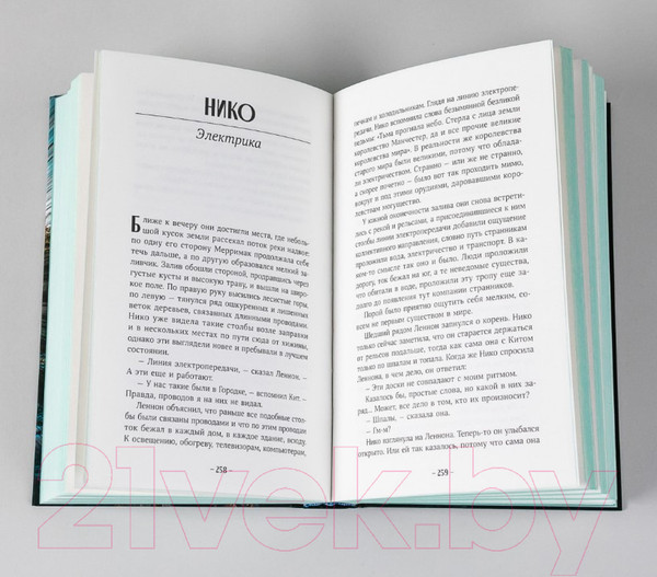 Изображение товара Книга Альпина Электрическое королевство (Арнольд Д.)