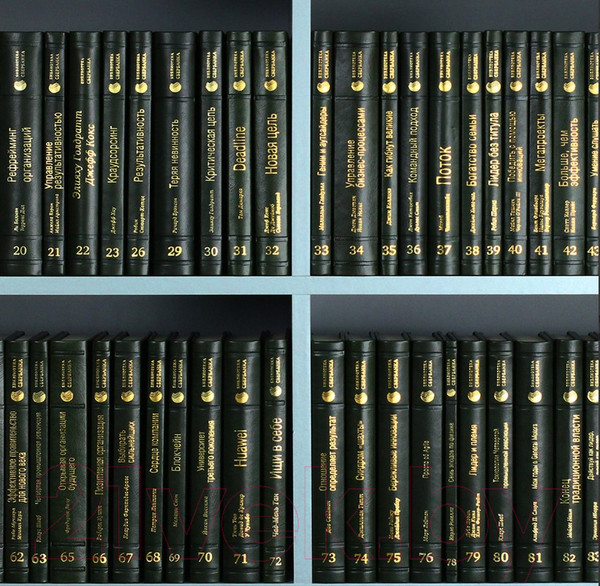 Изображение товара Книга Альпина Развитие лидеров (Адизес И.)