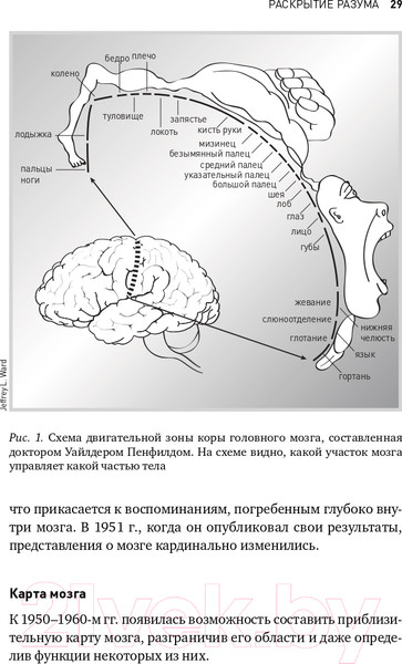 Изображение товара Книга Альпина Будущее разума. Библиотека Сбербанка (Каку М.)