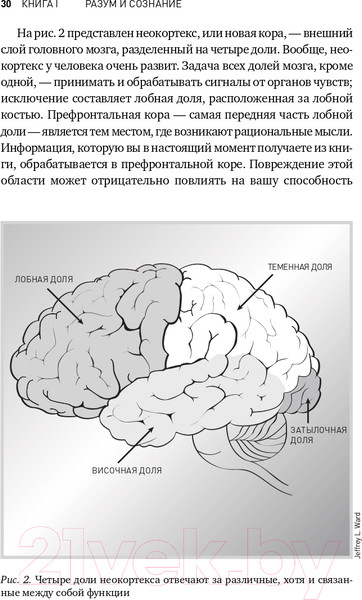 Изображение товара Книга Альпина Будущее разума. Библиотека Сбербанка (Каку М.)