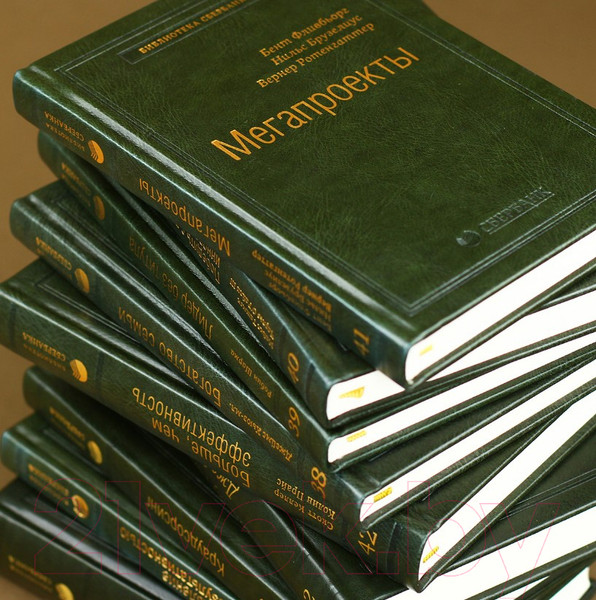 Изображение товара Книга Альпина Управление бизнес-процессами (Нелис Й.)