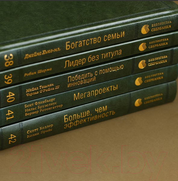 Изображение товара Книга Альпина Управление бизнес-процессами (Нелис Й.)