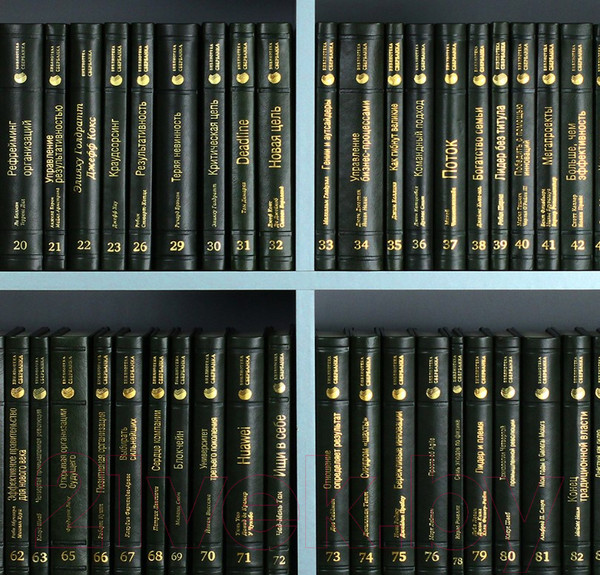 Изображение товара Книга Альпина Управление бизнес-процессами (Нелис Й.)