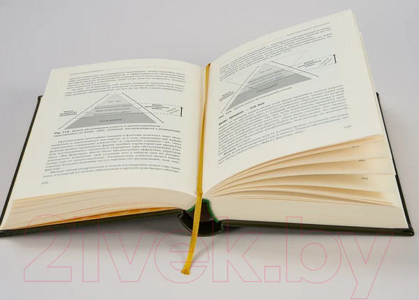 Изображение товара Книга Альпина Управление бизнес-процессами (Нелис Й.)