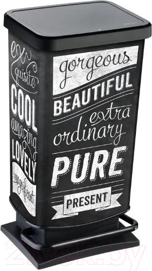 Изображение товара Контейнер для мусора Rotho Paso с педалью / 1754111003