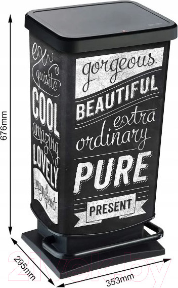 Изображение товара Контейнер для мусора Rotho Paso с педалью / 1754111003