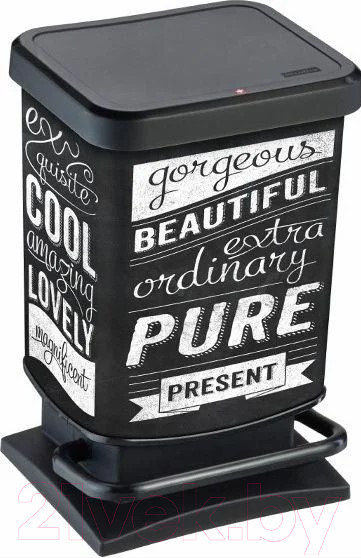 Изображение товара Контейнер для мусора Rotho Paso Treteimer с педалью / 1754011003 (20л, черный/рисунок)