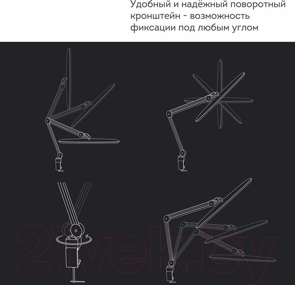 Изображение товара Настольная лампа Daswerk 237954
