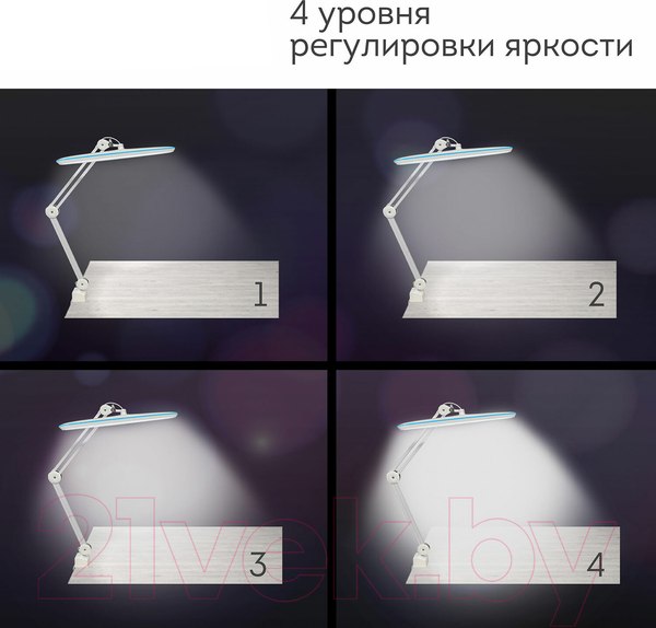 Изображение товара Настольная лампа Daswerk 237954